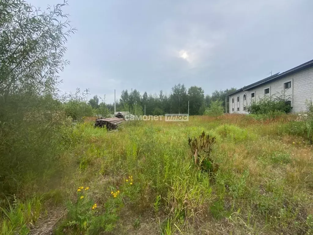 Участок в Московская область, Павлово-Посадский городской округ, д. ... - Фото 2
