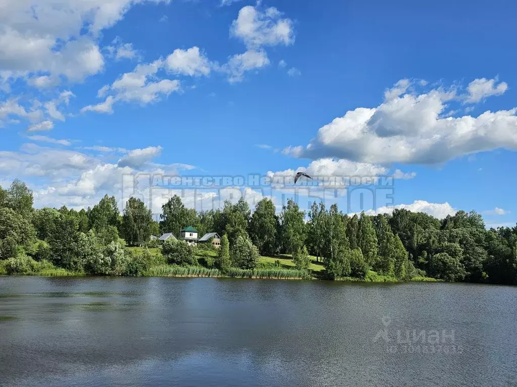 Производственное помещение в Смоленская область, Починковский ... - Фото 1