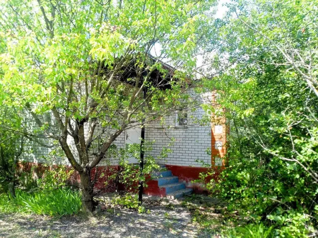 Дом 108,6 м на участке 14,7 сот. - Фото 1