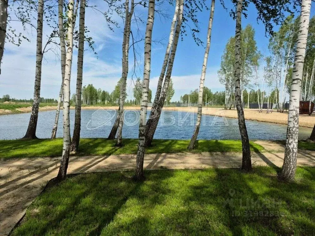 Участок в Тюменская область, Нижнетавдинский район, Строитель ТСН  ... - Фото 0