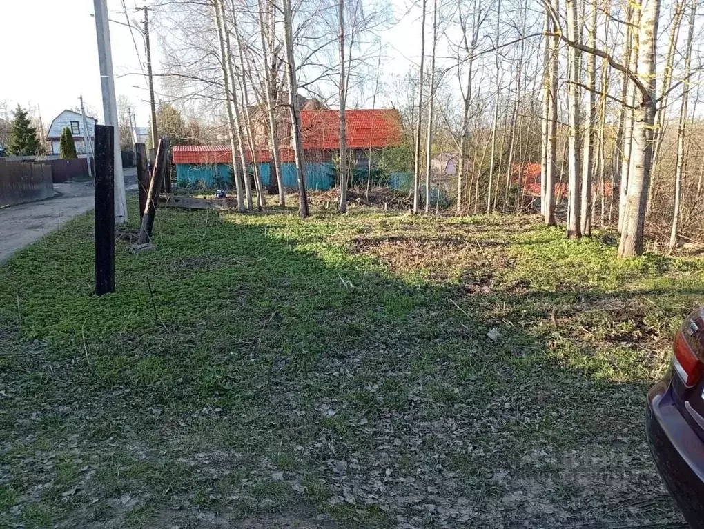 Участок в Московская область, Солнечногорск городской округ, Радумля ... - Фото 1