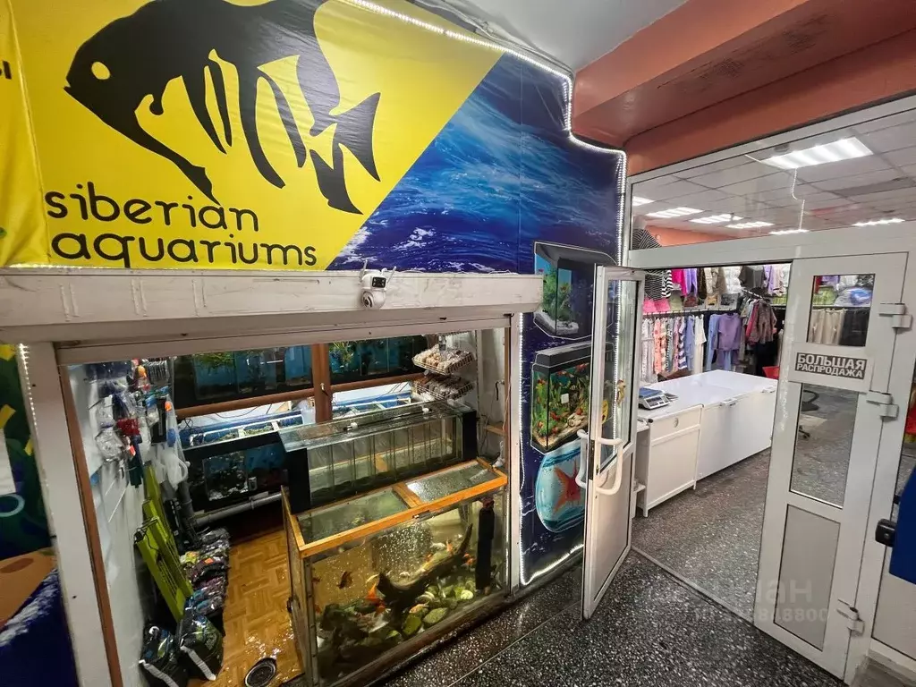 Помещение свободного назначения в Иркутская область, Черемхово ул. ... - Фото 2