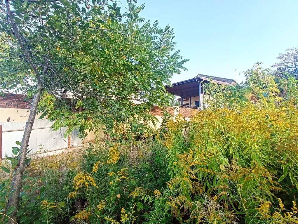 Участок в Самарская область, Тольятти Парус СНТ,  (4.22 сот.) - Фото 1