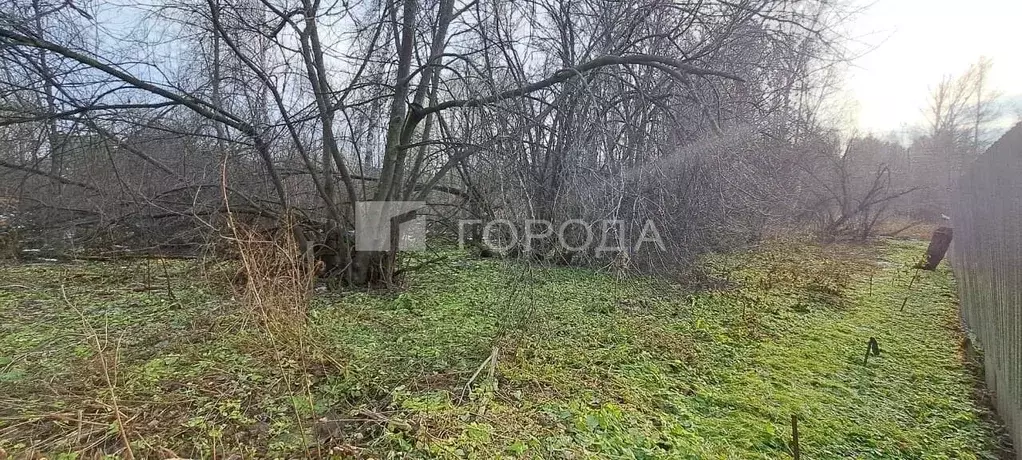 Участок в Новосибирская область, Новосибирский район, Новолуговской ... - Фото 1