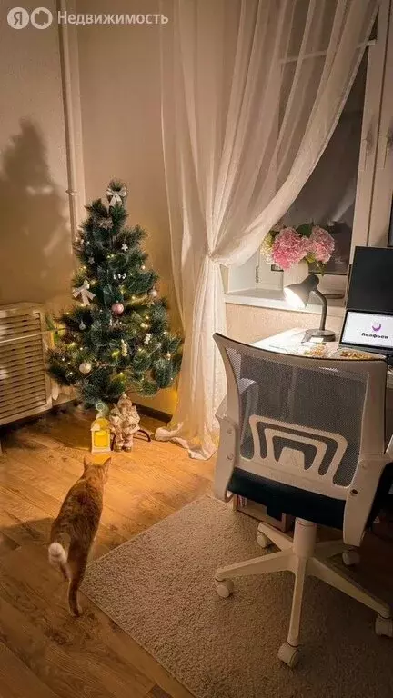 1к в -комнатной квартире (11.8 м) - Фото 1