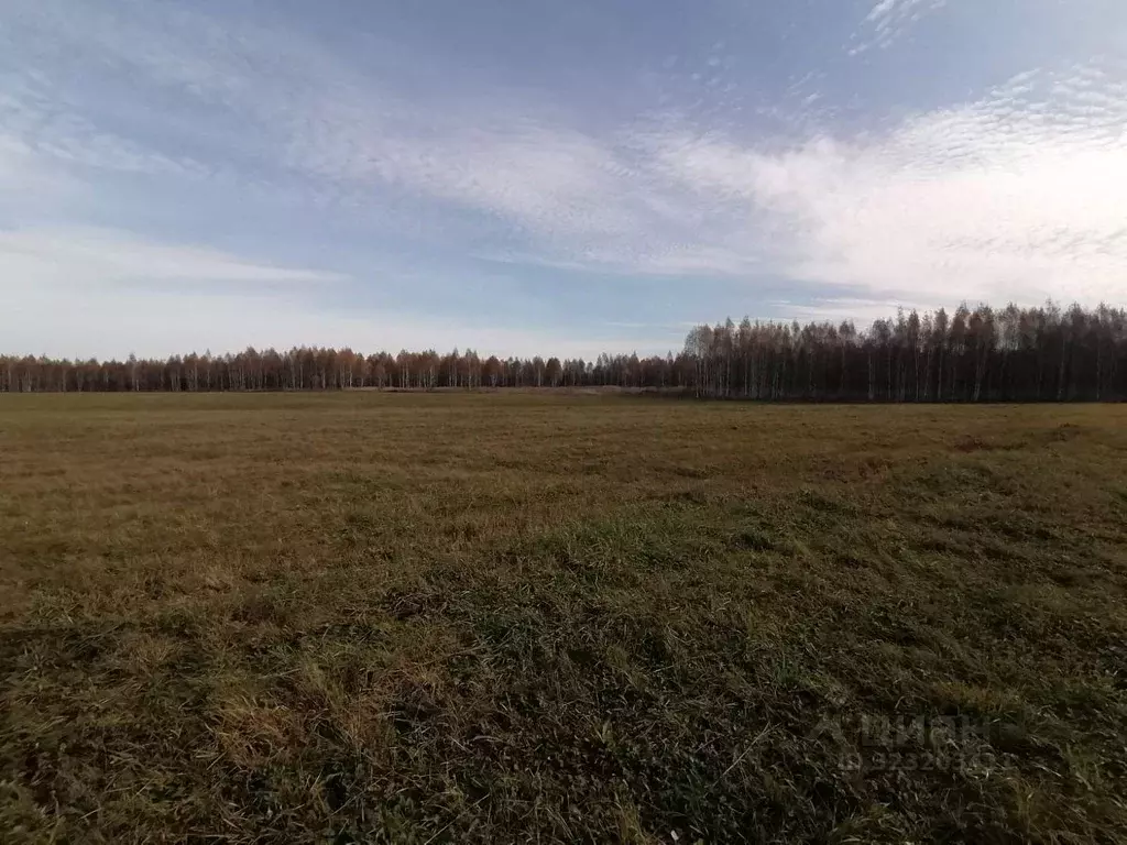 Участок в Башкортостан, Уфимский район, Русско-Юрмашский сельсовет, с. ... - Фото 1