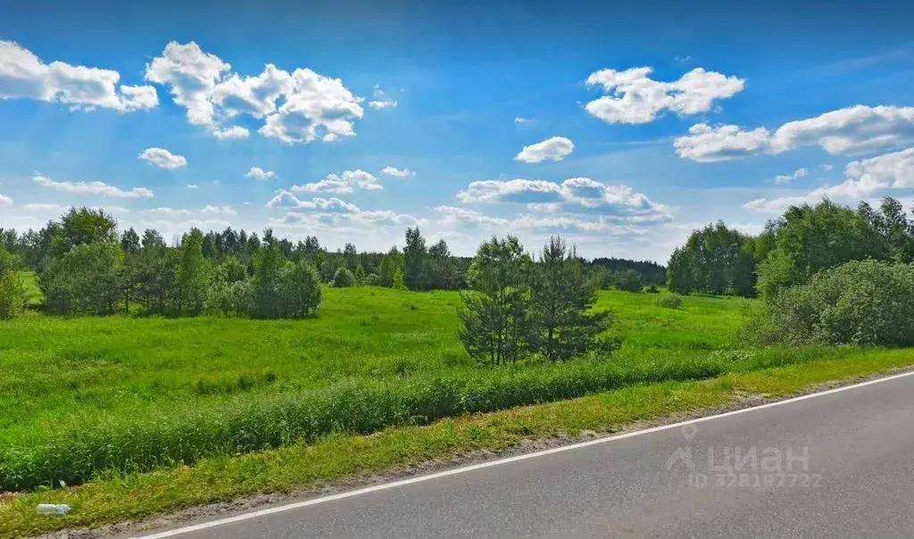 Участок в Московская область, Богородский городской округ, д. Тимково ... - Фото 1