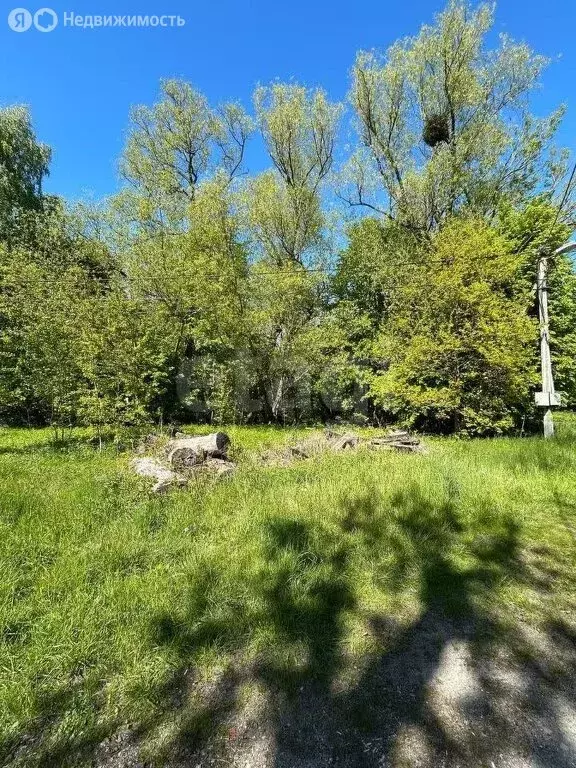 Участок в Калининград, улица Александра Матросова (5.54 м) - Фото 1