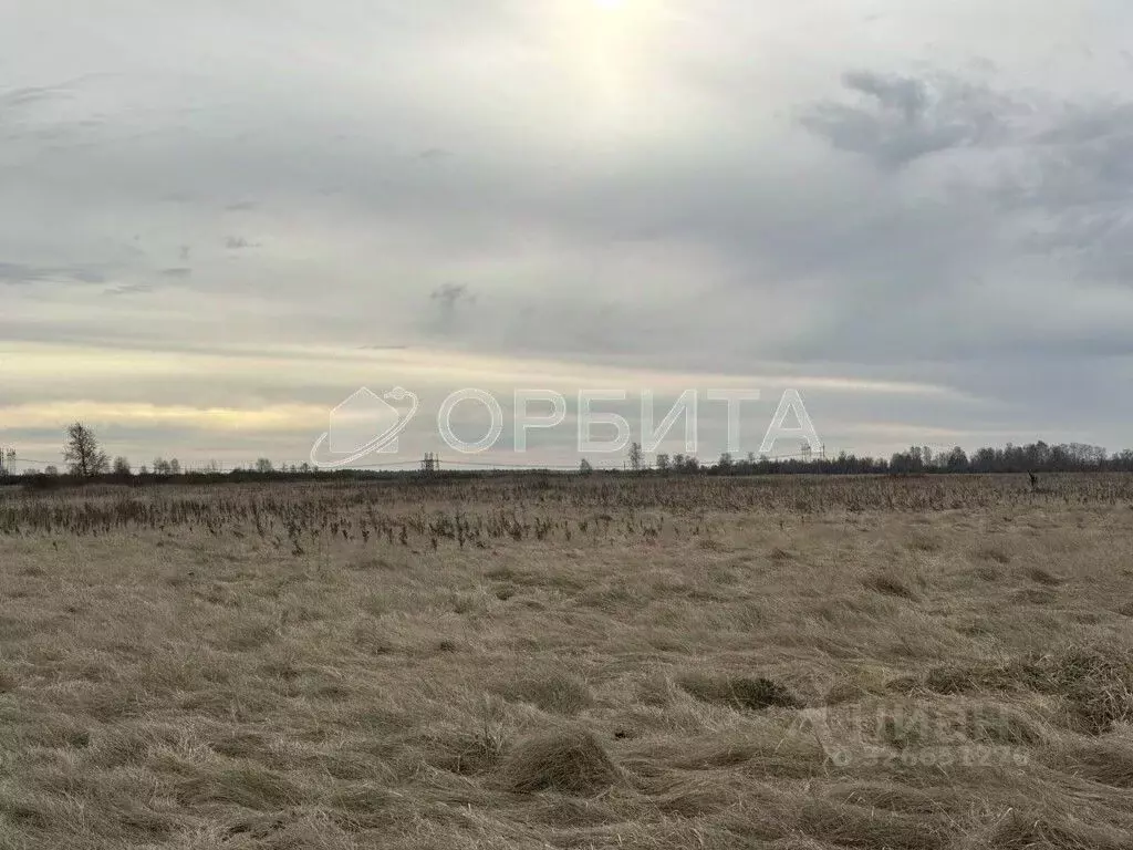 Участок в Тюменская область, Тюмень  (909.0 сот.) - Фото 2