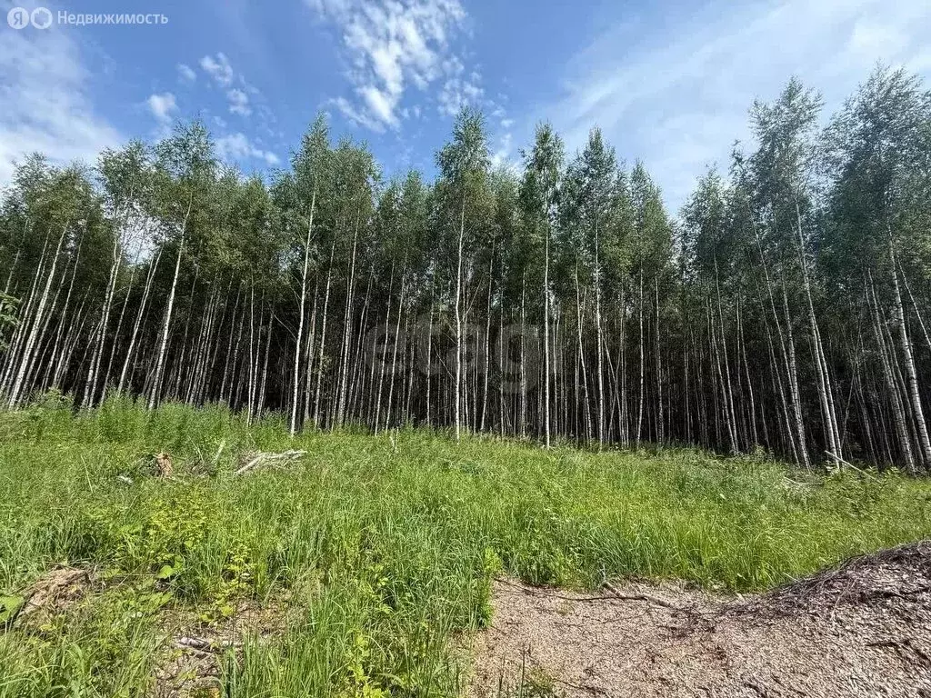 Участок в Костромская область, посёлок городского типа ... - Фото 0