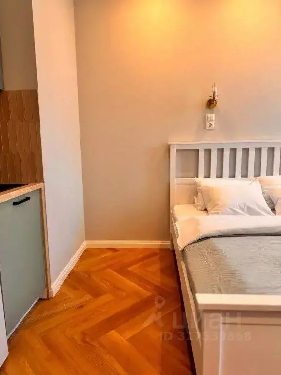 1-к кв. Санкт-Петербург ул. Черняховского, 56 (24.0 м) - Фото 1