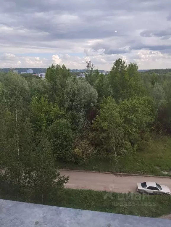 2-к кв. Нижегородская область, Нижний Новгород Космическая ул., 57 ... - Фото 1