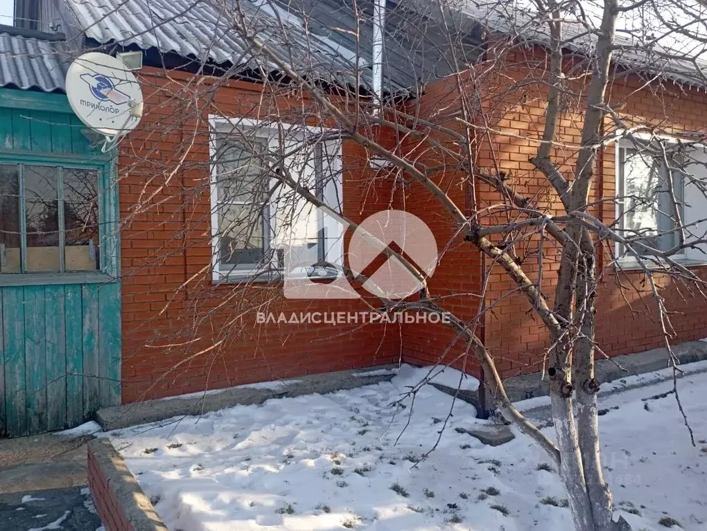 Дом в Новосибирская область, Ордынский район, с. Красный Яр ул. ... - Фото 0