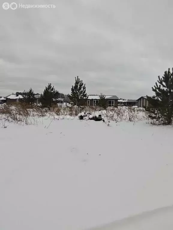 Участок в Октябрьский, переулок Порядка (7.38 м) - Фото 1