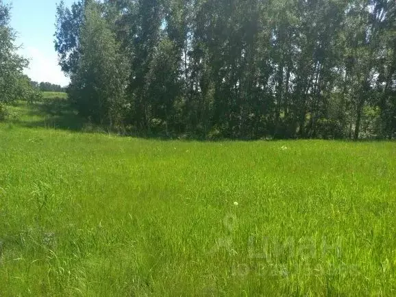 Участок в Новосибирская область, Новосибирский район, Морской ... - Фото 2