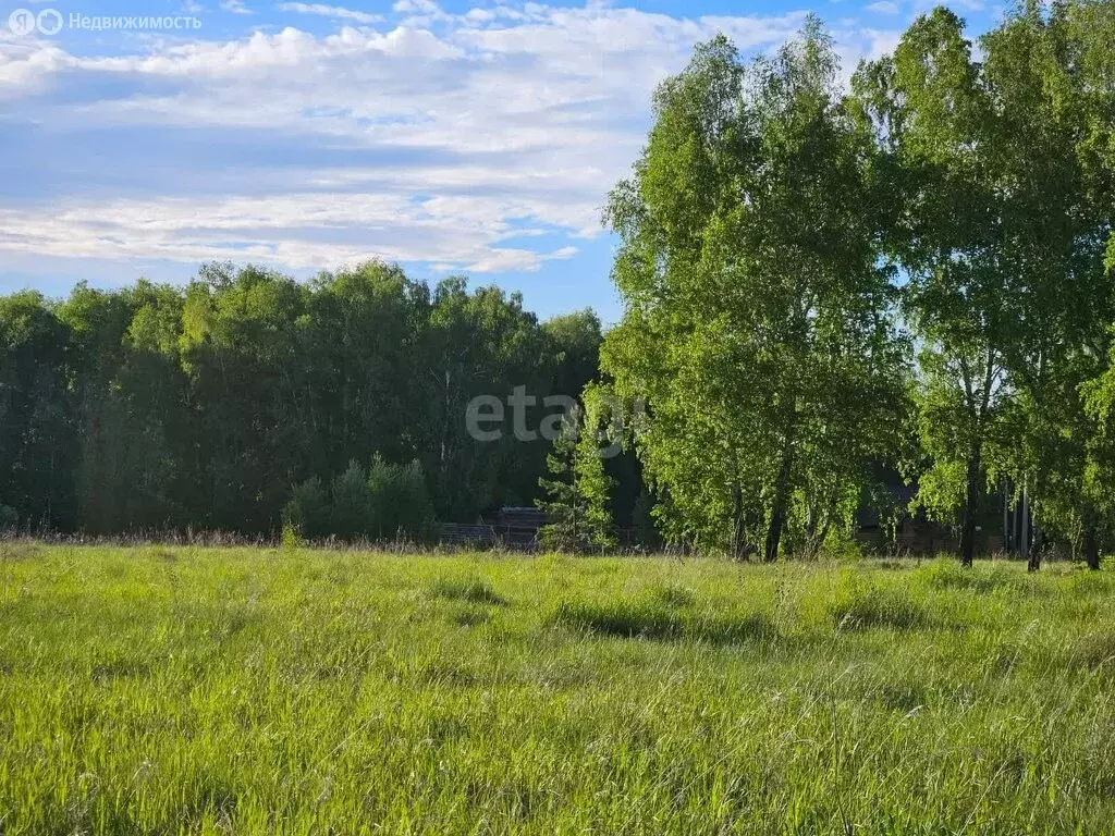 Участок в Искитимский район, Шибковский сельсовет (8.6 м) - Фото 1