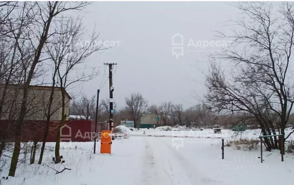 Дом в Волгоградская область, Волгоград Мичуринец СНТ, 11 (25 м) - Фото 1