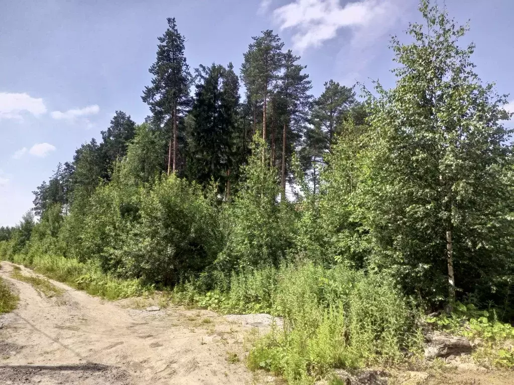 Участок в Ленинградская область, Всеволожск ул. Мужества (10.0 сот.) - Фото 2