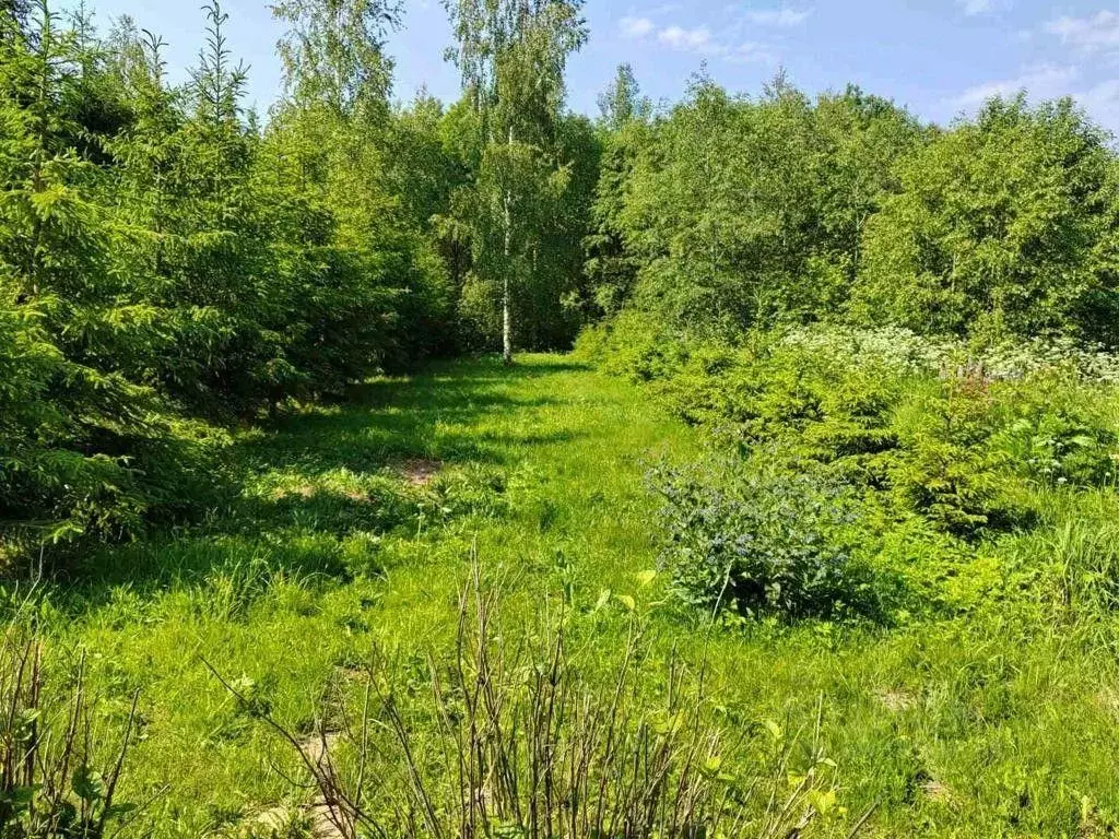 Участок, 105 сот., 0 - Фото 0
