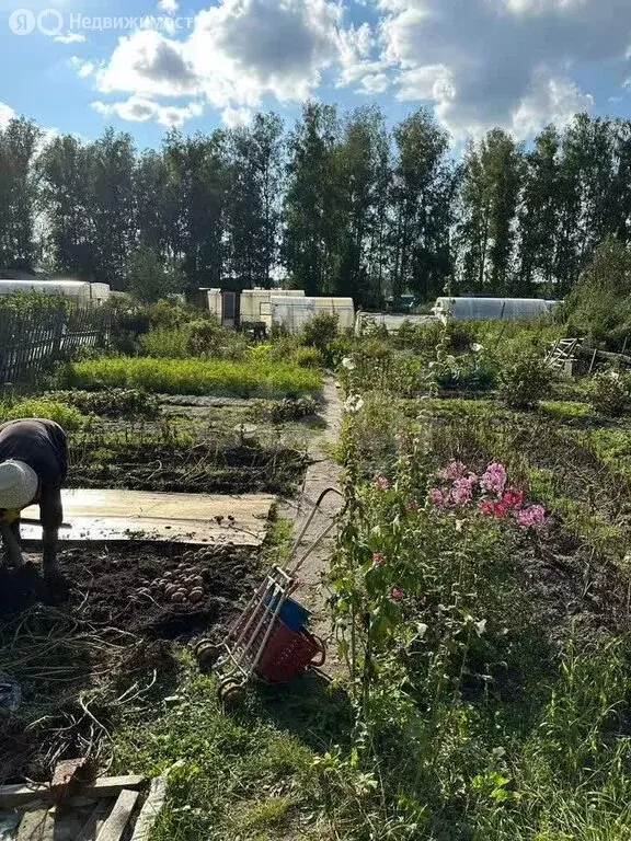 Участок в Новосибирск, СТ Заря-1 (6.4 м) - Фото 1