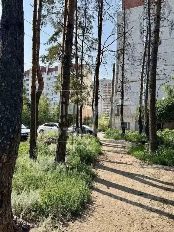 2-к кв. Воронежская область, Воронеж ул. Антонова-Овсеенко, 41 (59.0 ... - Фото 0