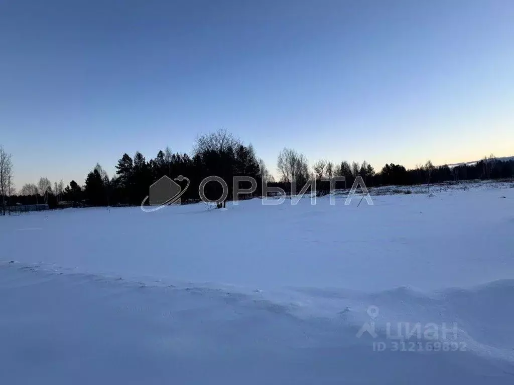 Участок в Тюменская область, Нижнетавдинский район, с. Тюнево  (10.0 ... - Фото 1