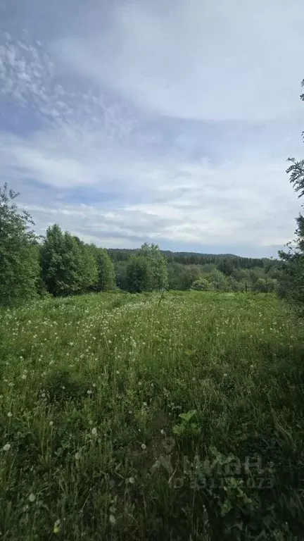 Дом в Пермский край, Краснокамский муниципальный округ, д. Большая ул. ... - Фото 2