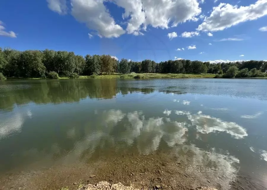 Участок в Новосибирская область, Новосибирский район, Березовский ... - Фото 2