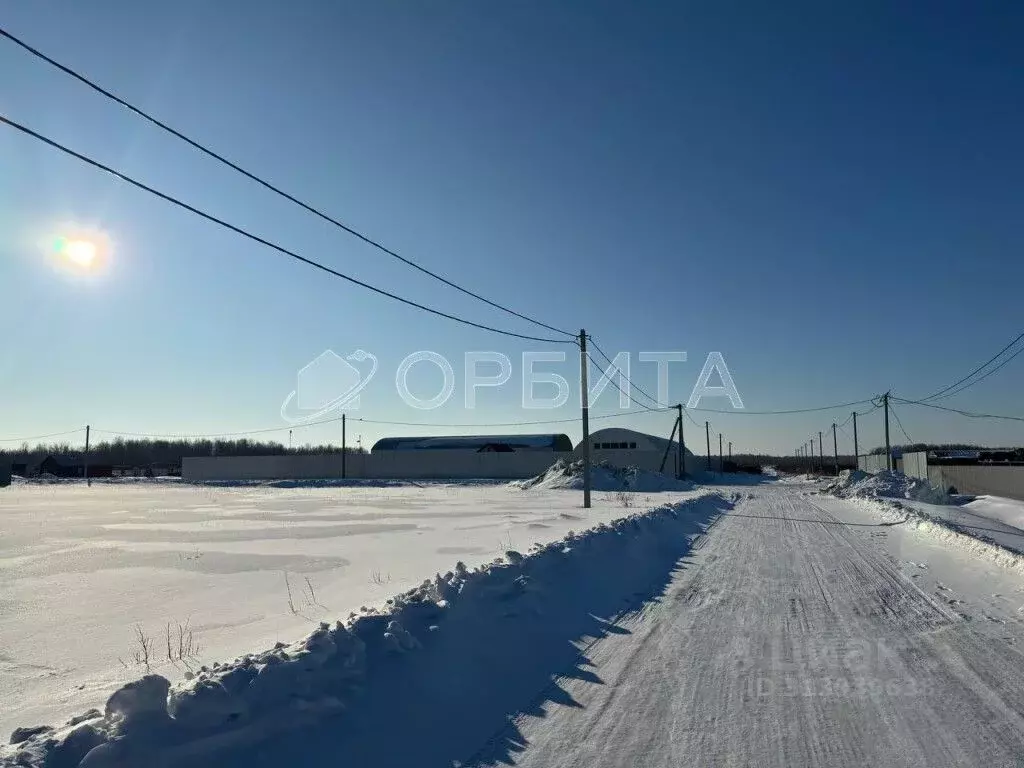 Участок в Тюменская область, Тюменский район, с. Горьковка Сибирская ... - Фото 0