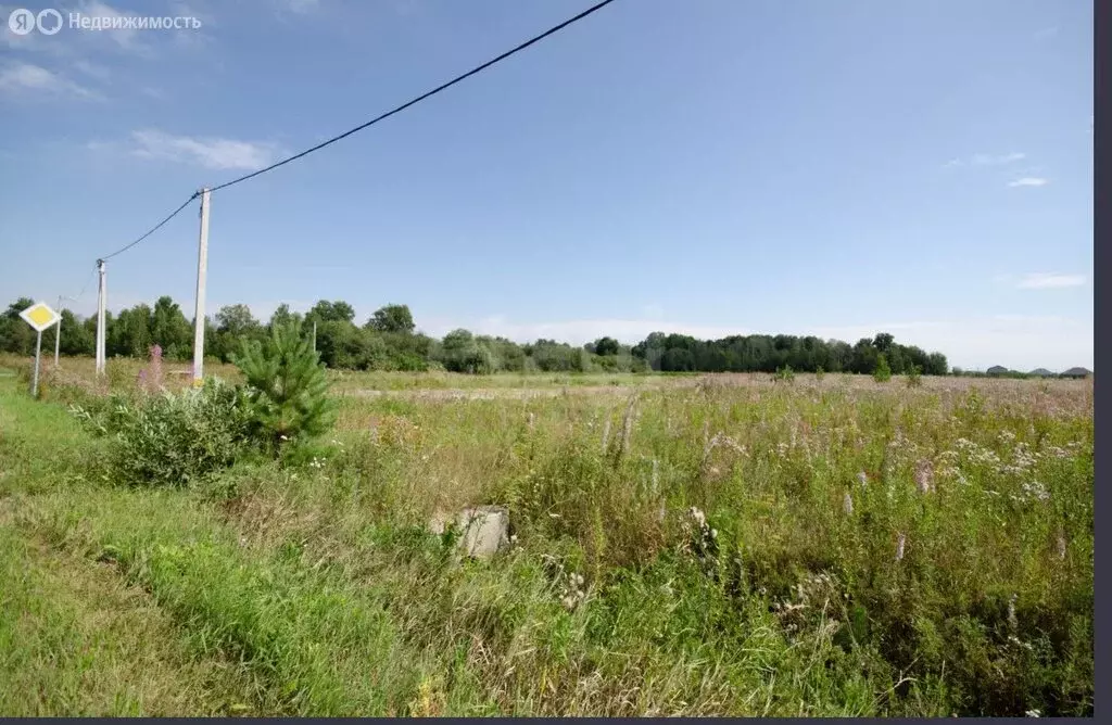 Участок в Заводоуковск, улица Архитекторов, 5 (10 м) - Фото 2