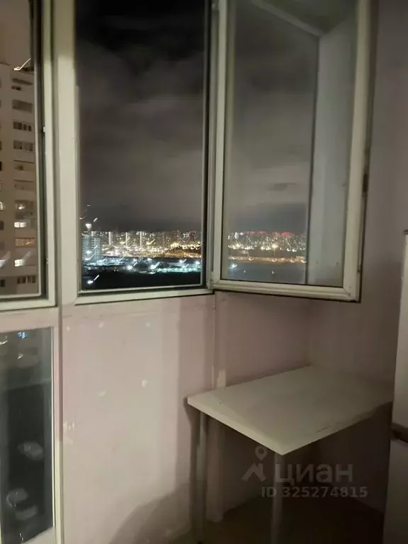 Студия Санкт-Петербург пос. Шушары, пер. Вилеровский, 6 (24.0 м) - Фото 2