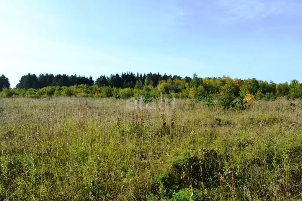 Участок в Свердловская область, Каменский городской округ, с. ... - Фото 1