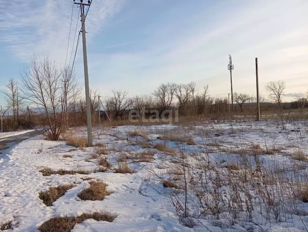 Участок в Белгородская область, Новооскольский муниципальный округ, с. ... - Фото 1