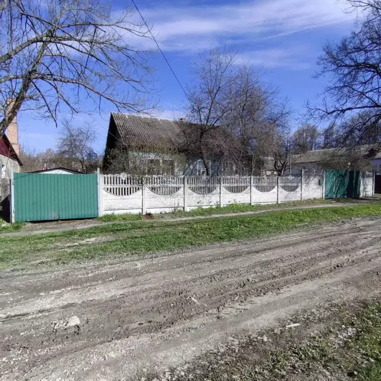 Дом в Брянская область, Навля рп пер. 1-й Леонардо Гарсиа, 5 (57 м) - Фото 1