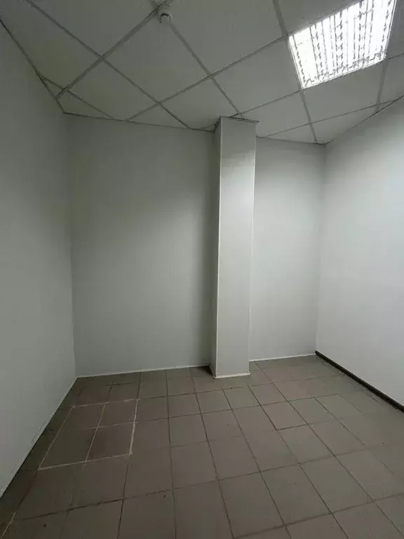 Склад в Новосибирская область, Новосибирск ул. Писемского, 1Ак3 (9 м) - Фото 2