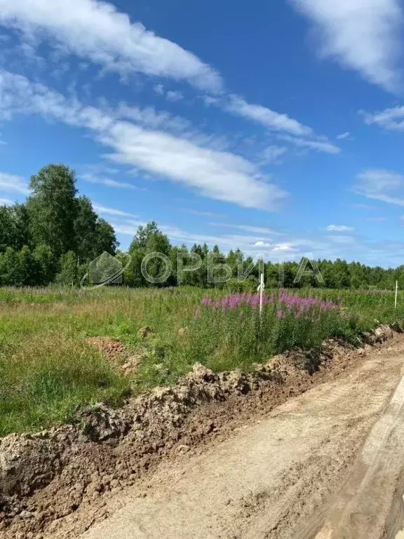 Участок в Тюменская область, Нижнетавдинский район, д. Штакульская  ... - Фото 1