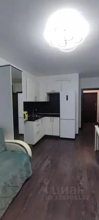 Студия Санкт-Петербург просп. Ветеранов, 185к3 (23.7 м) - Фото 1