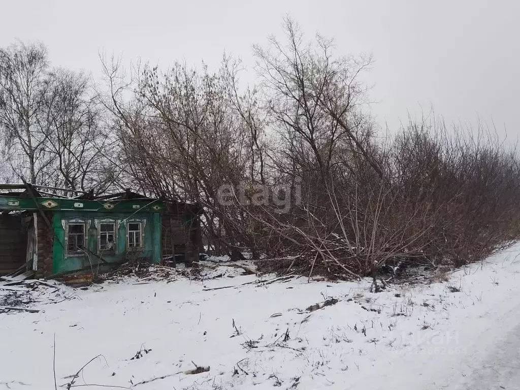 Участок в Владимирская область, Муром с. Борисово, ул. Калинина, 9 ... - Фото 1