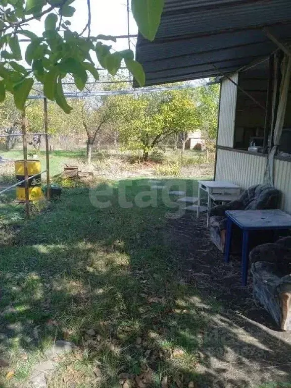 Участок в Ростовская область, Азовский район, Новоалександровское ... - Фото 1