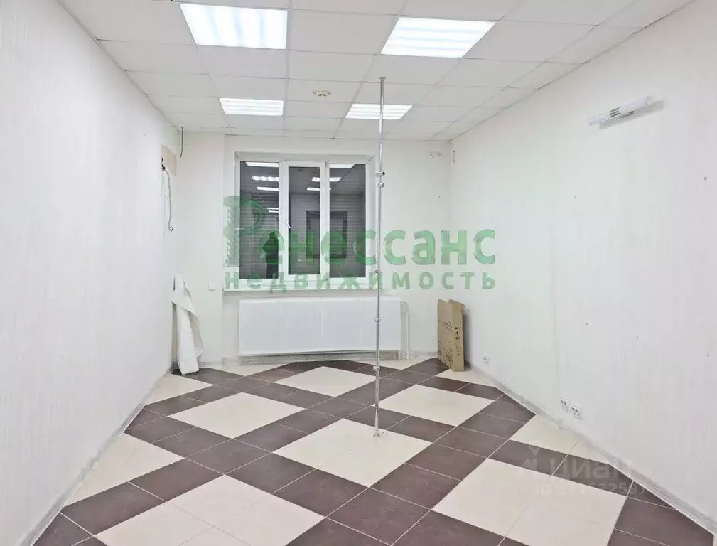 Помещение свободного назначения в Брянская область, Брянск пер. ... - Фото 1