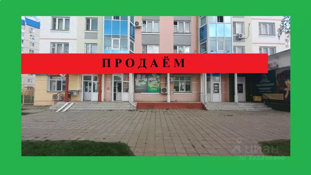 Торговая площадь в Орловская область, Орел Наугорское ш., 88 (50 м) - Фото 1