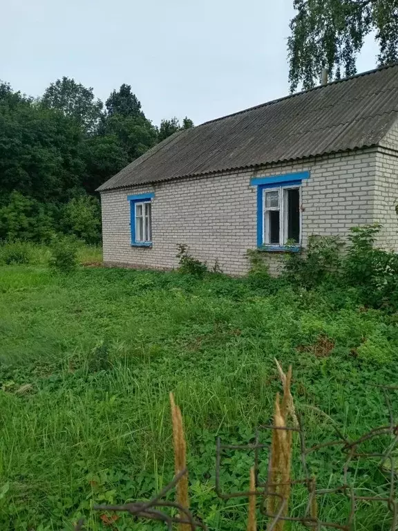 Дом в Пензенская область, Пензенский район, с. Покрово-Березовка ул. ... - Фото 2