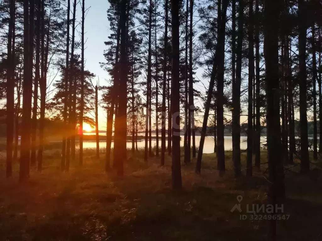 Помещение свободного назначения в Вологодская область, Вытегорский ... - Фото 2