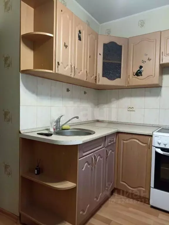 1-к кв. Кировская область, Киров ул. Чистопрудненская, 1к2 (33.0 м) - Фото 1