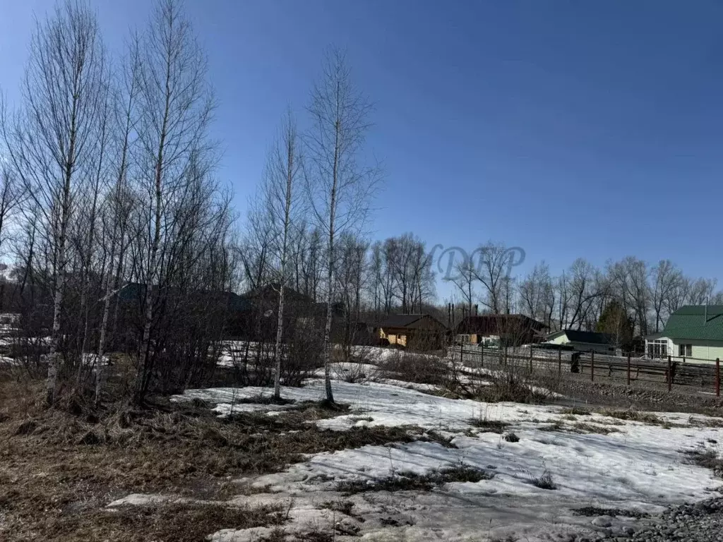 Участок в Алтай, Майминский район, пос. Дубровка ул. Сафронова (10.0 ... - Фото 2