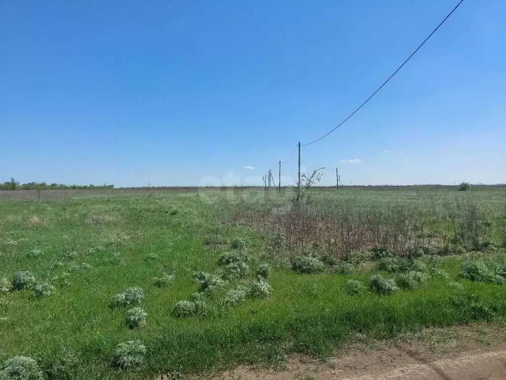 Участок в Ростовская область, Новочеркасск ул. Овечкина, 14 (6.0 сот.) - Фото 1