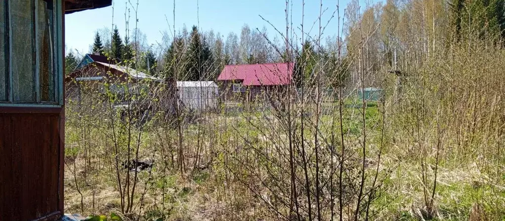 Участок 8,3 сот. (СНТ, ДНП) - Фото 0