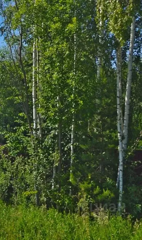 Участок в Тверская область, Конаковский муниципальный округ, д. Новое ... - Фото 2