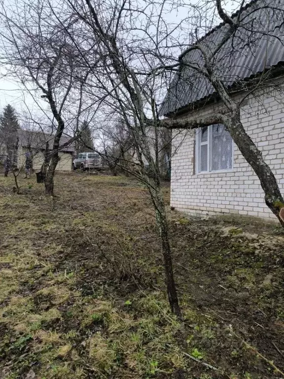 Дом в Нижегородская область, Нижний Новгород Борок СНТ, 53 (35 м) - Фото 2