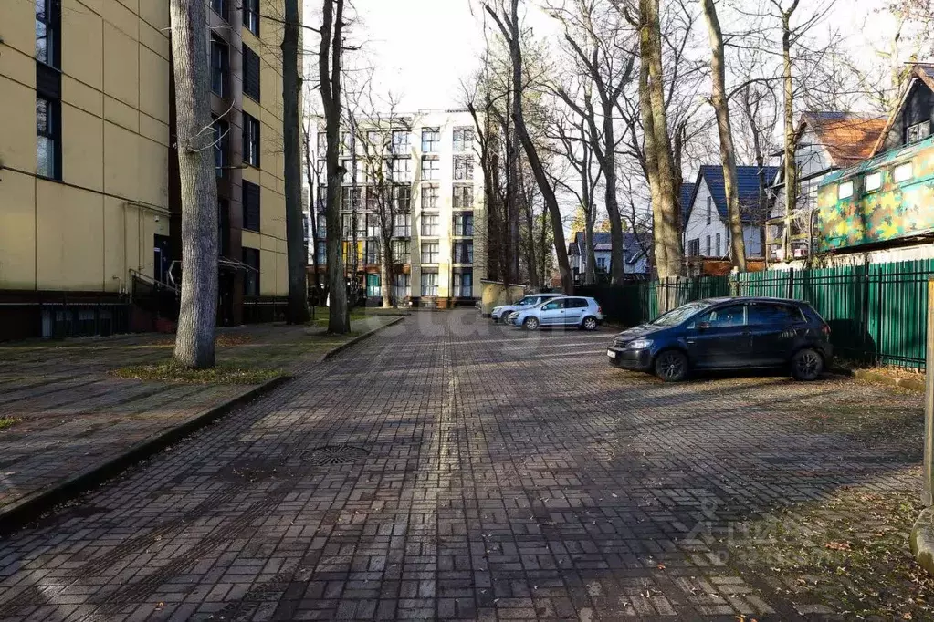 Студия Калининградская область, Светлогорск пос. Отрадное, просп. ... - Фото 2